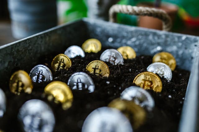 MintDice Blog Post Image