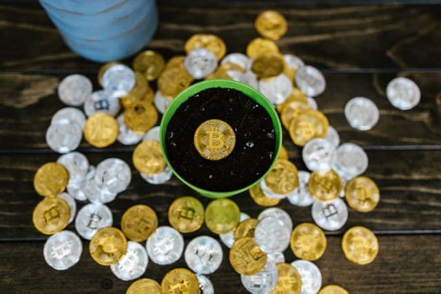 MintDice Blog Post Image