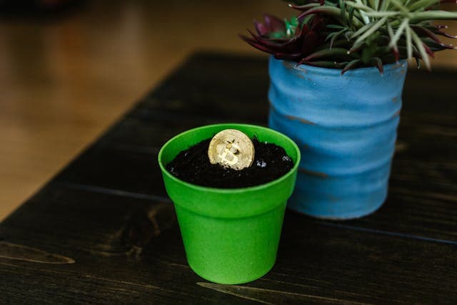 MintDice Blog Post Image